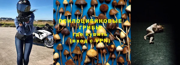 спайс Баксан