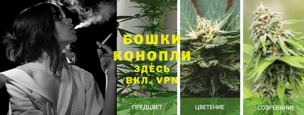 спайс Баксан
