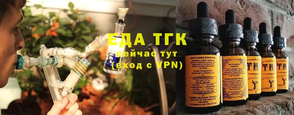 спиды Пересвет